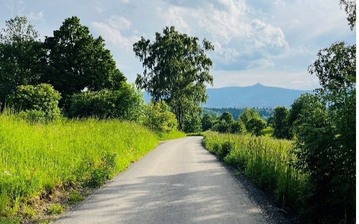 Obnova části ulice Na Skřivanech